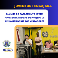 Alunos do Parlamento Jovem marcam presença na Câmara e compartilham ideia de projeto de lei com vereadores